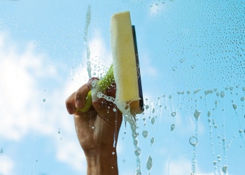 17022926 - human hand washing window in nice summer day