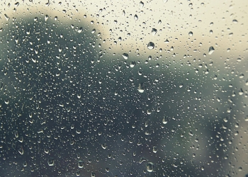 55213400 - drops of rain on the inclined window (glass). shallow dof