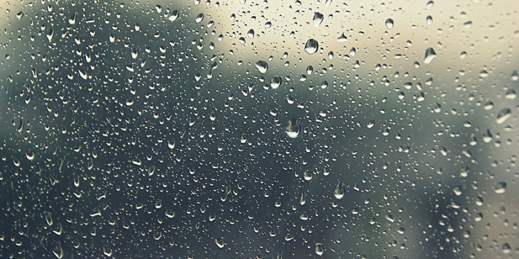 55213400 - drops of rain on the inclined window (glass). shallow dof