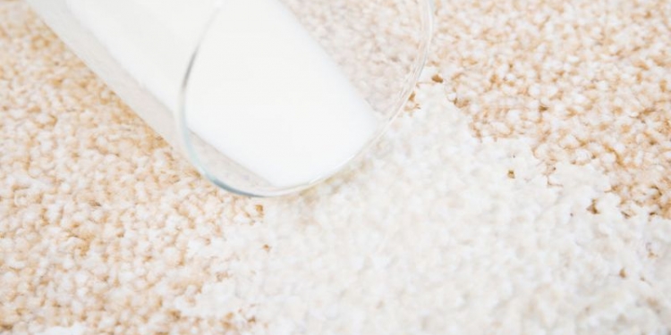 37322057 - close-up of milk spilled from glass on carpet