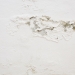 54286501 - mold on the wall