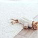 46058514 - cute little ginger kitten wearing warm knitted sweater is sleeping on the floor