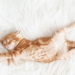 28828372 - cute little red kitten sleeps on fur white blanket