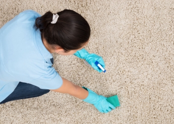 45165920 - young woman cleaning carpet with detergent spray bottle and sponge