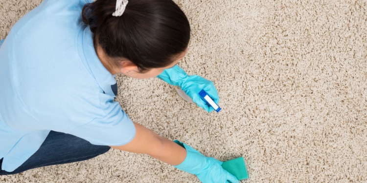 45165920 - young woman cleaning carpet with detergent spray bottle and sponge