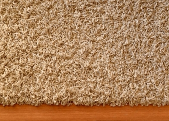 34159293 - a close up shot of a floor rug