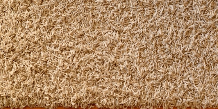 34159293 - a close up shot of a floor rug