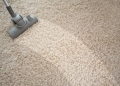 54014543 - vacuuming rough carpet in living room with vacuum cleaner