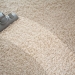 54014543 - vacuuming rough carpet in living room with vacuum cleaner